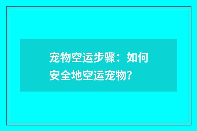宠物空运步骤:如何安全地空运宠物?