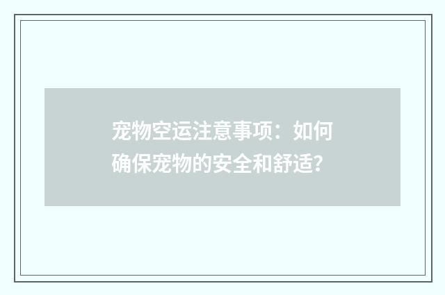 宠物空运注意事项:如何确保宠物的安全和舒适?