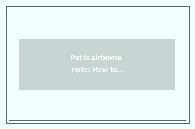 Pet is airborne note: How to ensure the safety of pet is mixed comfortable?