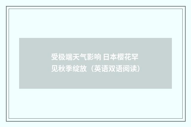 受极端天气影响 日本樱花罕见秋季绽放(英语双语阅读)