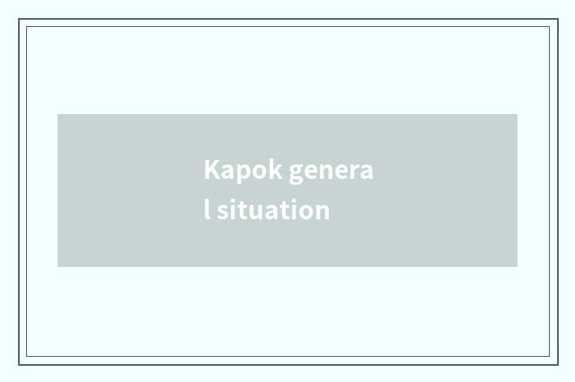 Kapok general situation