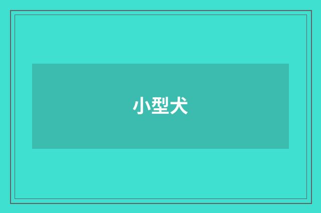 小型犬