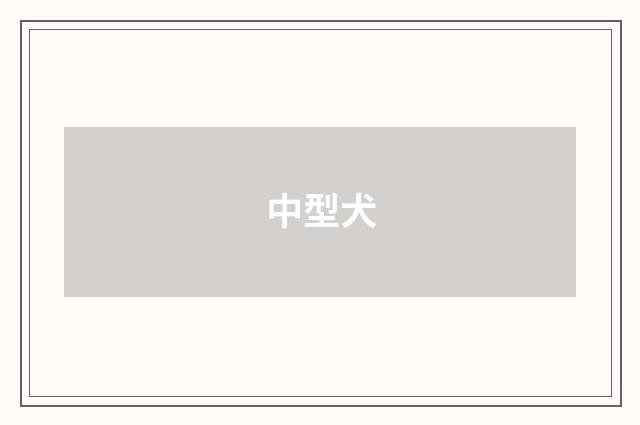 中型犬