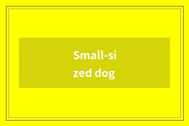 Small-sized dog