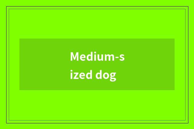Medium-sized dog