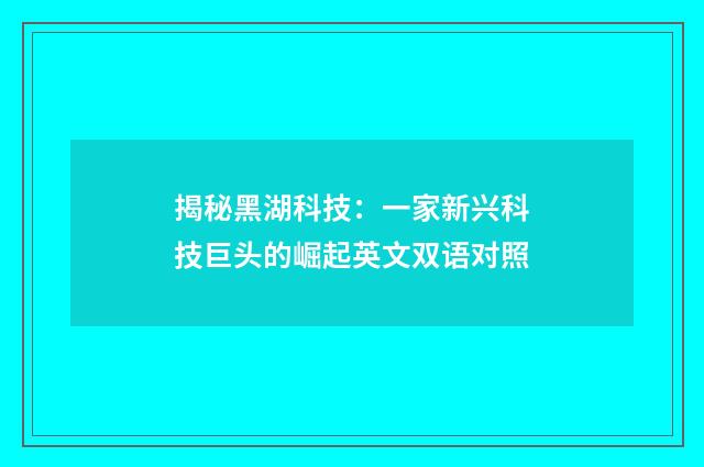 揭秘黑湖科技:一家新兴科技巨头的崛起英文双语对照