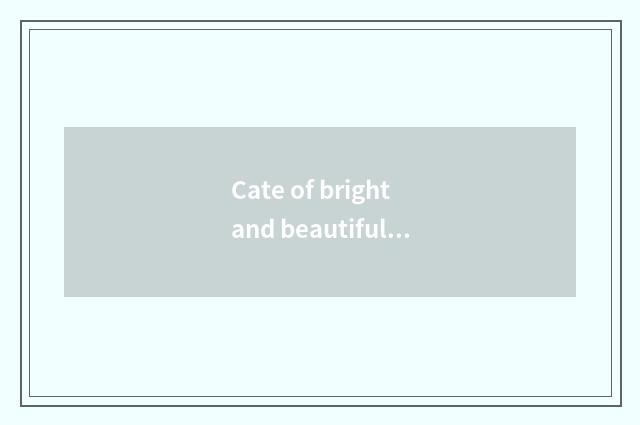 Cate of bright and beautiful city explores