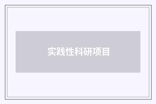实践性科研项目