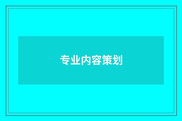 专业内容策划