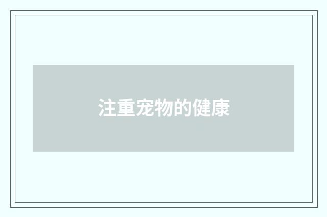 注重宠物的健康