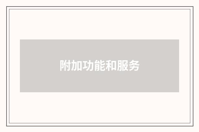 附加功能和服务