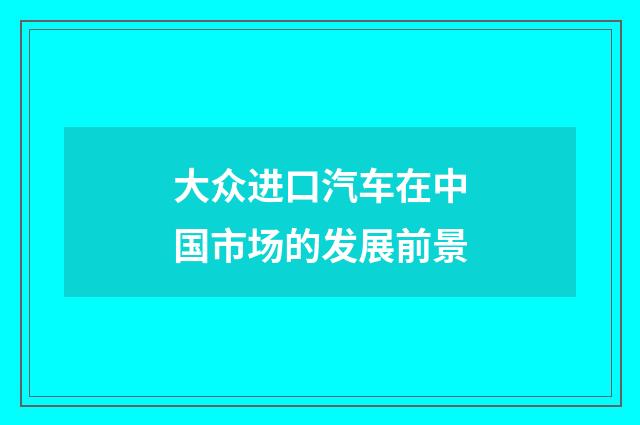 大众进口汽车在中国市场的发展前景