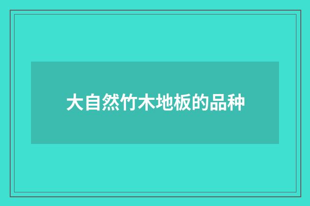 大自然竹木地板的品种