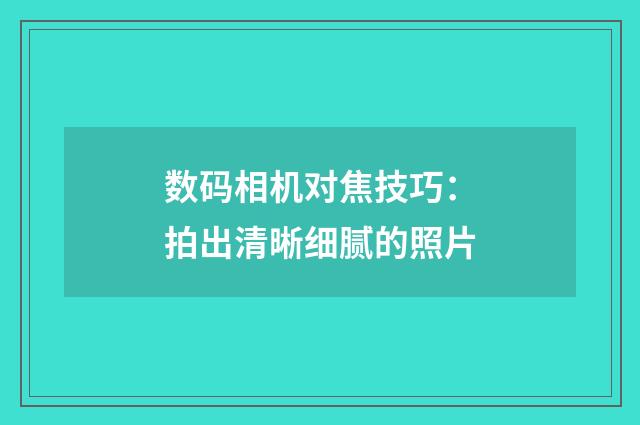 数码相机对焦技巧：拍出清晰细腻的照片