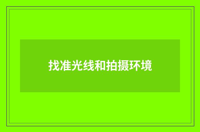 找准光线和拍摄环境