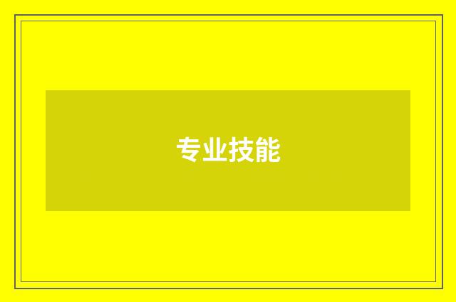 专业技能