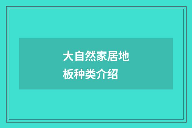 大自然家居地板种类介绍