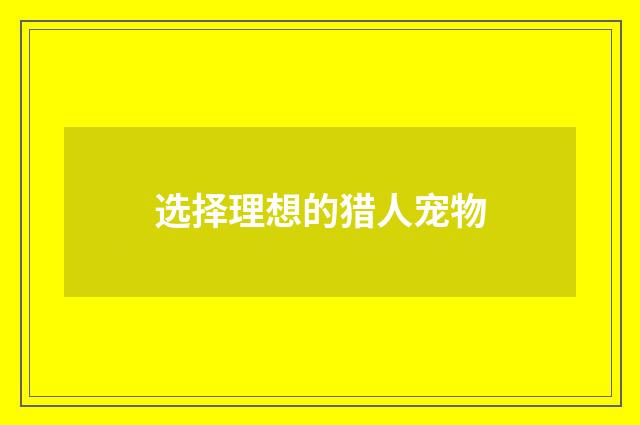 选择理想的猎人宠物