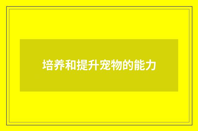 培养和提升宠物的能力
