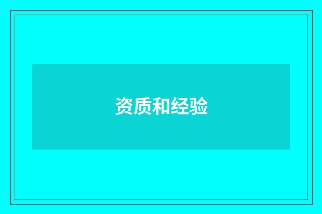 资质和经验