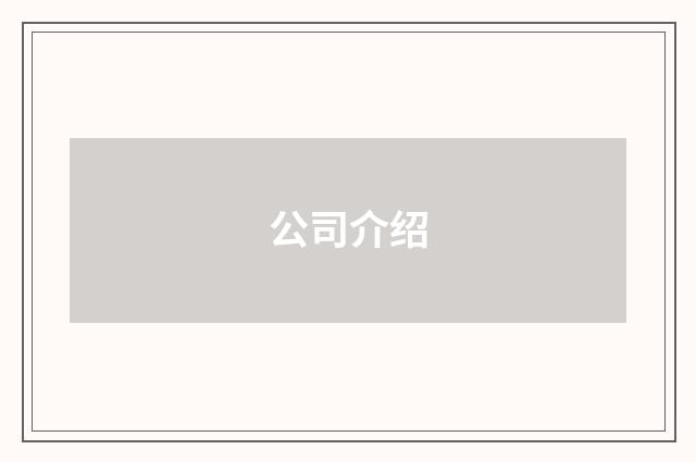 公司介绍