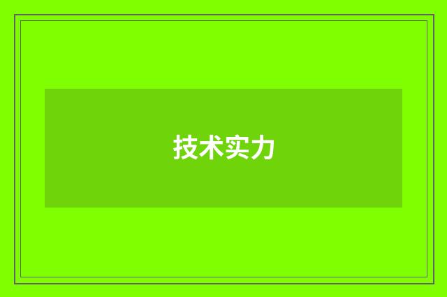 技术实力