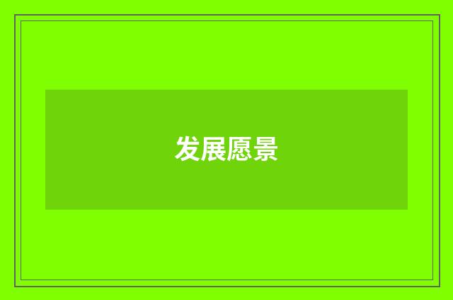 发展愿景