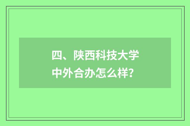 四、陕西科技大学中外合办怎么样？