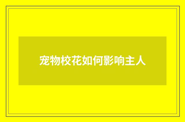宠物校花如何影响主人