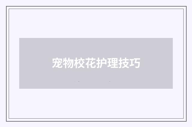 宠物校花护理技巧