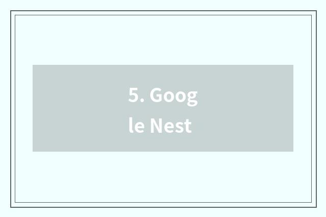 5. Google Nest