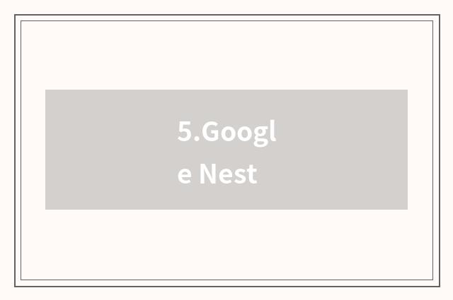 5.Google Nest
