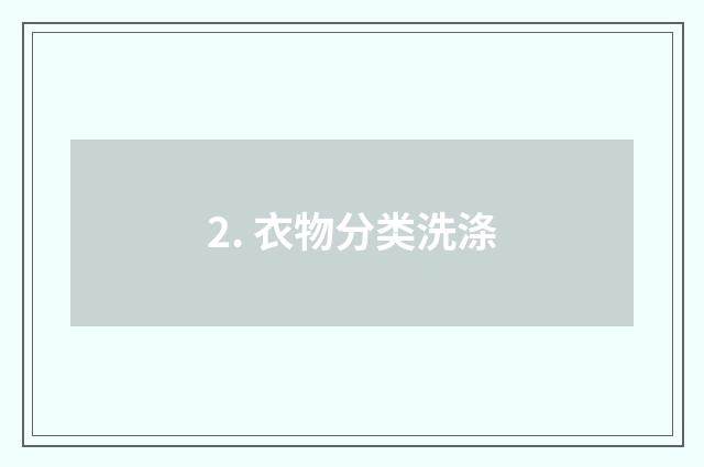 2. 衣物分类洗涤