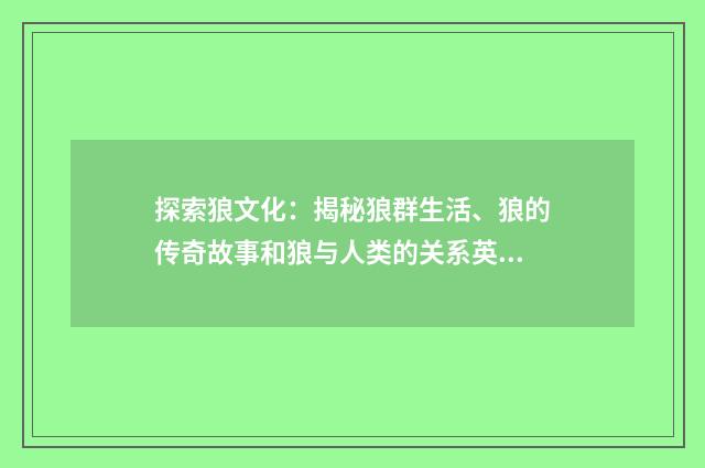 探索狼文化:揭秘狼群生活、狼的传奇故事和狼与人类的关系英文双语对照