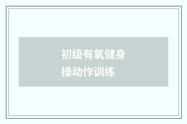 初级有氧健身操动作训练