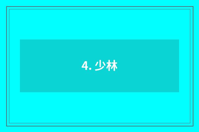 4. 少林