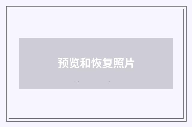预览和恢复照片