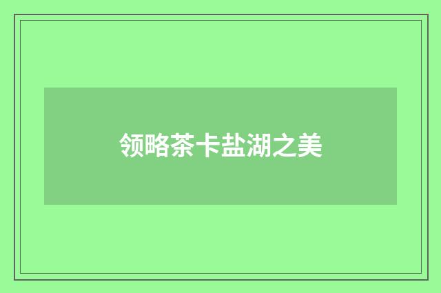 领略茶卡盐湖之美