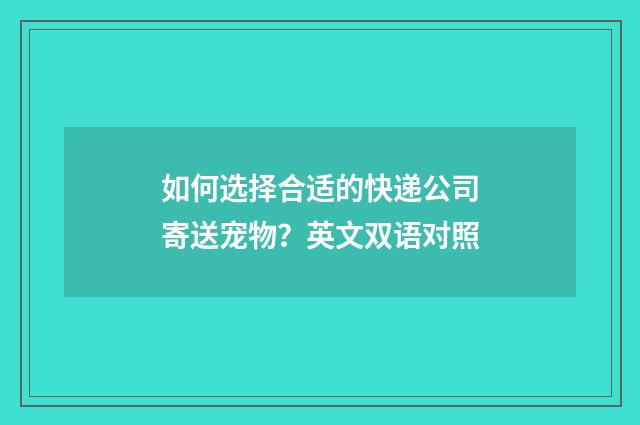如何选择合适的快递公司寄送宠物?英文双语对照