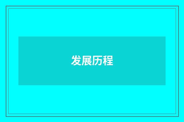 发展历程