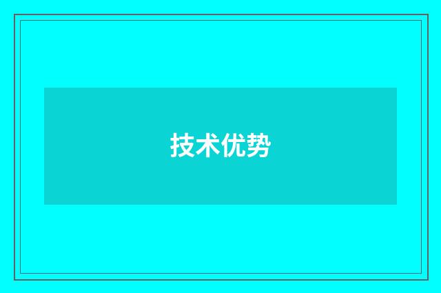 技术优势