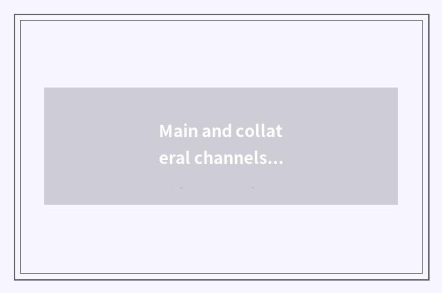 Main and collateral channels has the profit of oxygen setting-up exercise