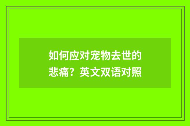 如何应对宠物去世的悲痛?英文双语对照