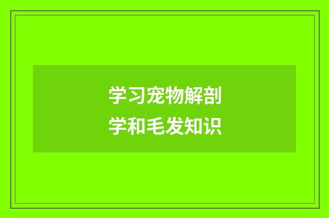 学习宠物解剖学和毛发知识