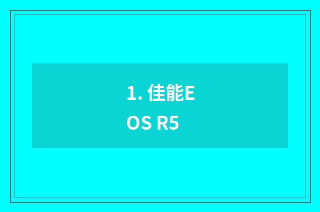 1. 佳能EOS R5