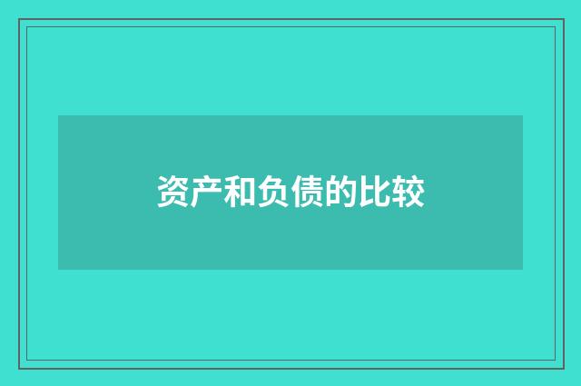资产和负债的比较