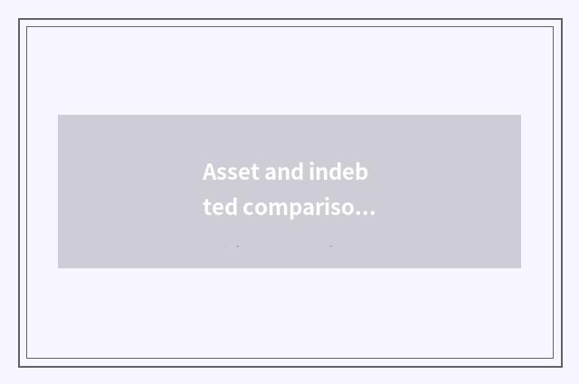 Asset and indebted comparison