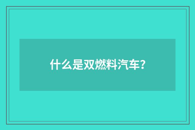 什么是双燃料汽车?