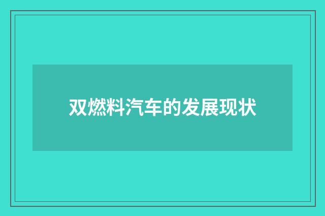 双燃料汽车的发展现状