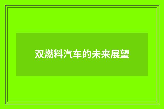 双燃料汽车的未来展望